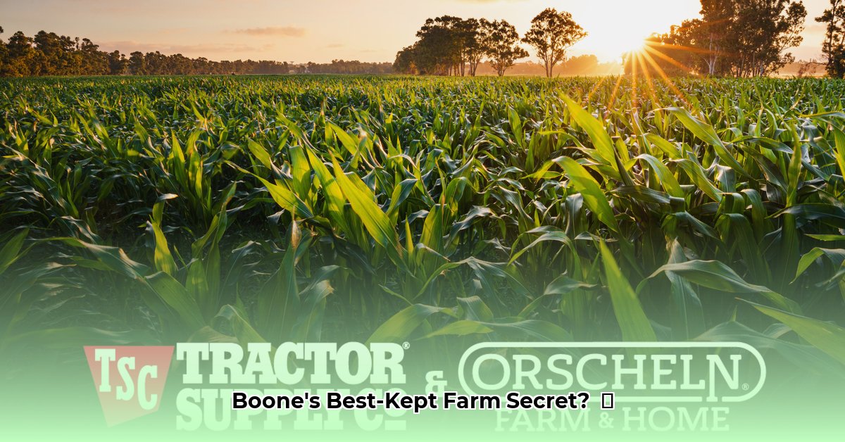 tractor-supply-boone-iowa